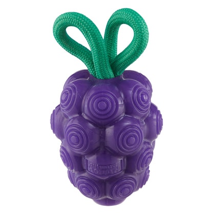 Outward Hound Grape Treat Dispenser