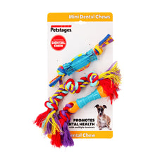 Outward Hound Mini Dental Chew Starter Pack - 3 Pack