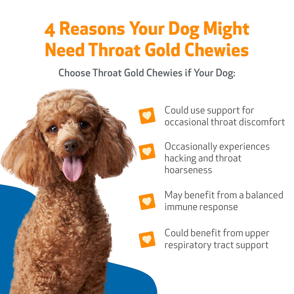 Throat Gold Chewies - for Occasional Throat Discomfort in Dogs