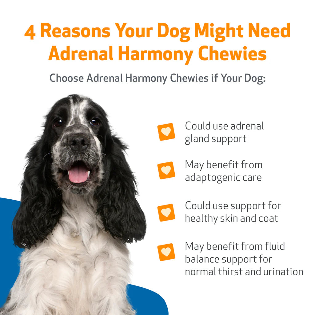 Adrenal Harmony Chewies - for Cortisol Balance and Adrenal Function in Dogs