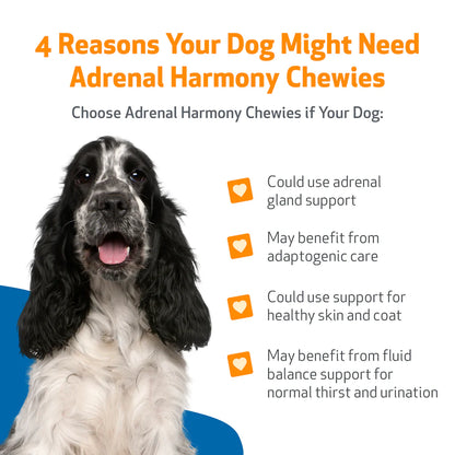 Adrenal Harmony Chewies - for Cortisol Balance and Adrenal Function in Dogs