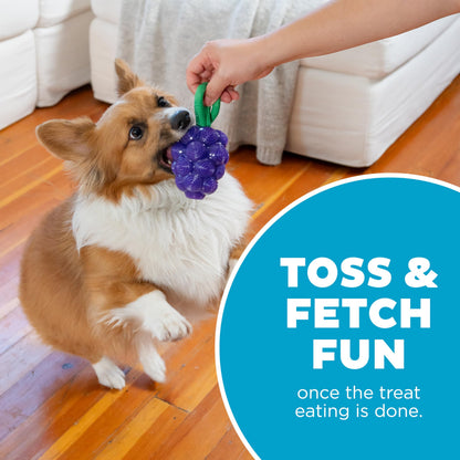 Outward Hound Grape Treat Dispenser