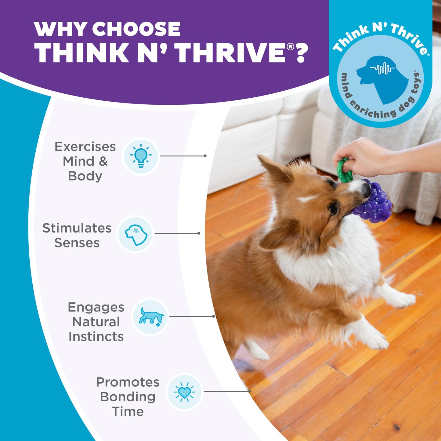 Outward Hound Grape Treat Dispenser