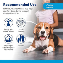 Adaptil Calm Dog Home Diffuser 30 Day Starter Kit