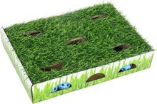 Catstages® Grass Patch Hunting Box