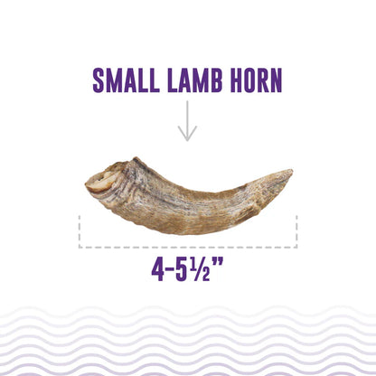 Icelandic+ Lamb Horn with Marrow Small