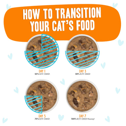 Weruva BFF OMG Chicken, Turkey, & Salmon Purr-Fect Plannin! Dinner in Gravy for Cats 2.8oz