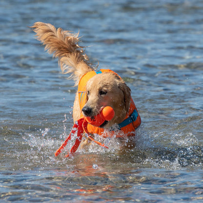 RC Pets🍁 Tidal Life Vest