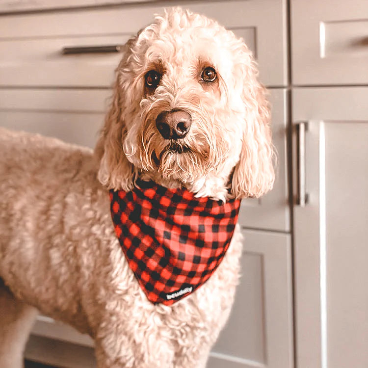 BCuddly Red Plaid Classic Bandana