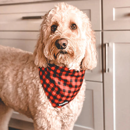 BCuddly Red Plaid Classic Bandana