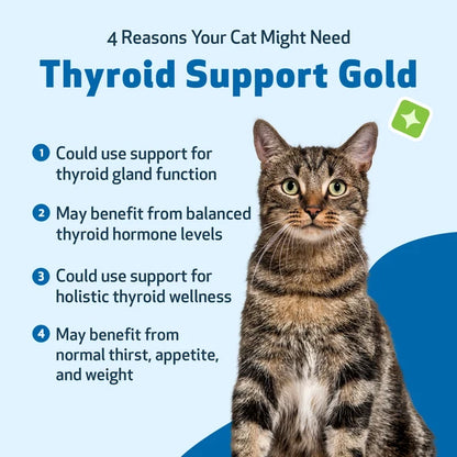 Thyroid Support Gold for Dogs & Cats by Pet Wellbeing
