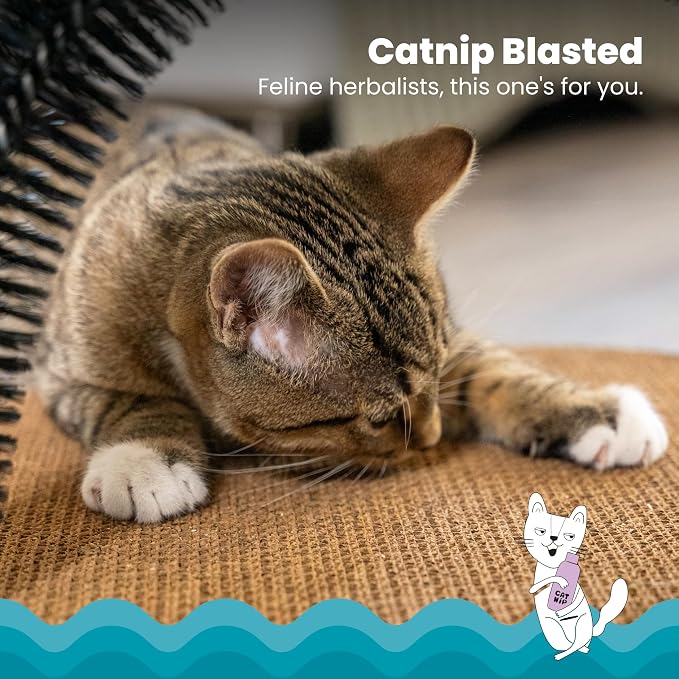 PetStages® Scratch & Groom Blue Cat Scratcher