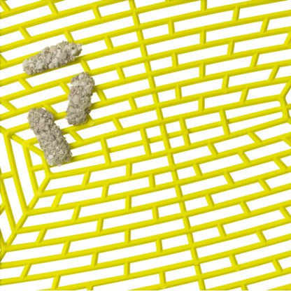 MODERNA Lift to Sift Large Litter Tray Warm Grey and Lemon