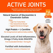 Square Pet VFS Canine Active Joints + Healthy Heart