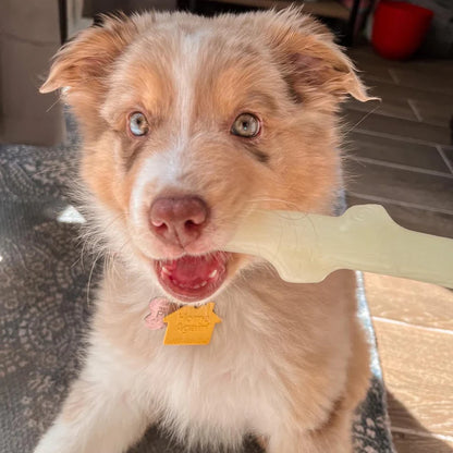 Spunky Pup® Glow Stick Retrieving Toy