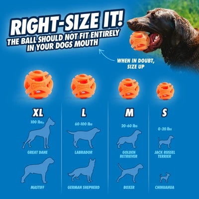 Chuck It! AIR Fetch Ball