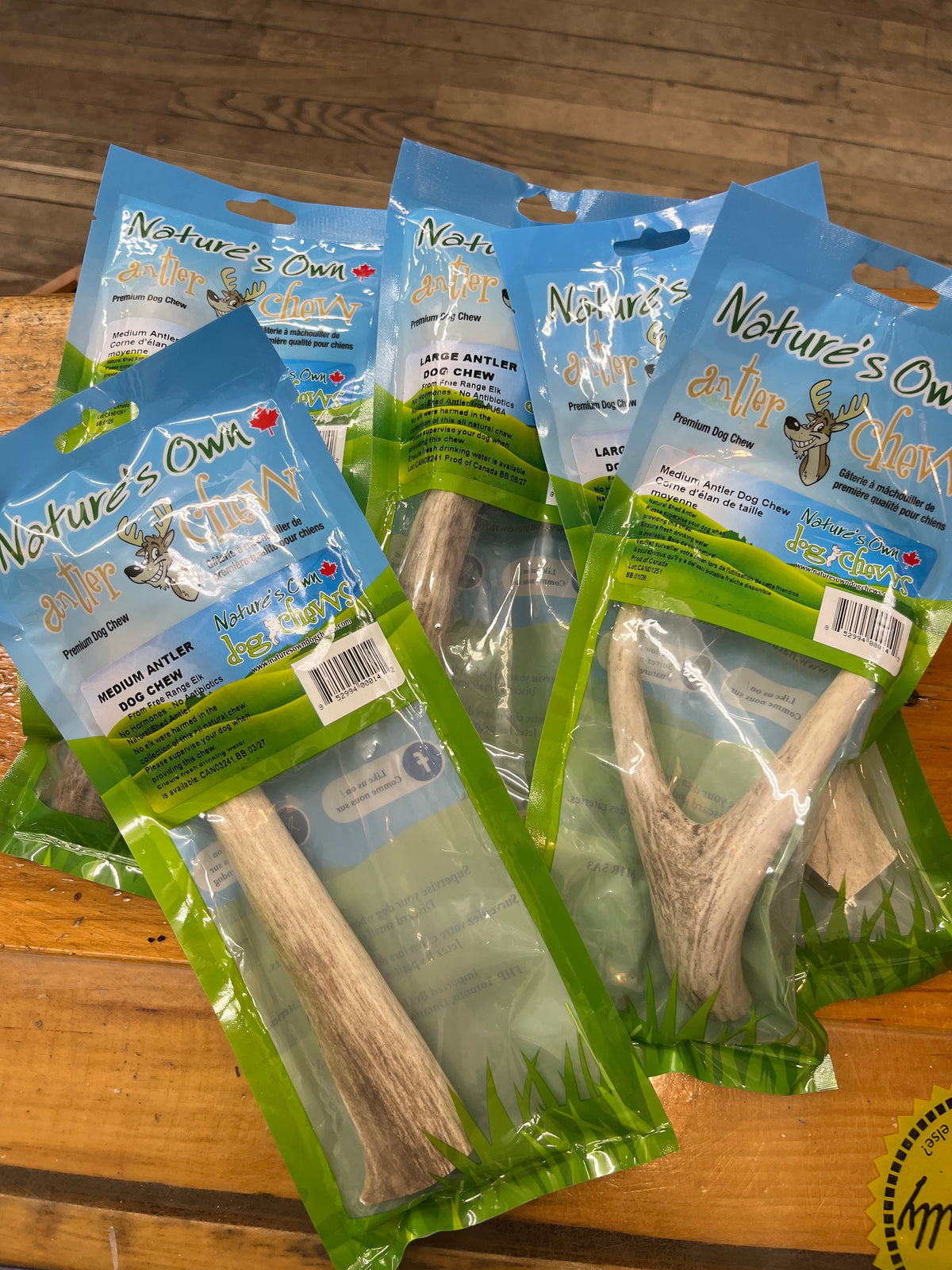 Naturallybb Nature's Own Naturally Shed Whole Elk Antler – All Creatures Great ...
