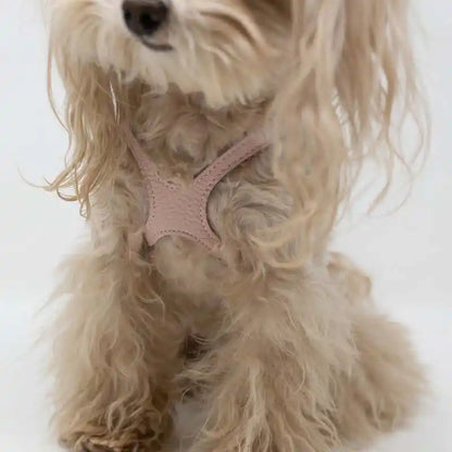 Buddy Belts🍁 Light Pink Genuine Leather Harness