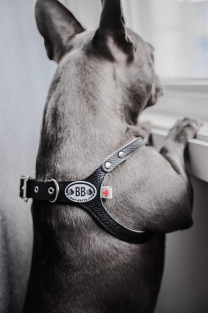 Buddy Belts🍁 Black Genuine Leather Harness