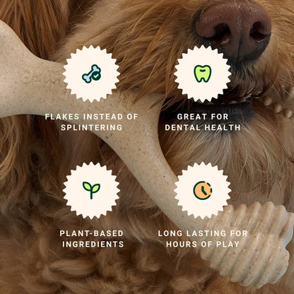 BetterBone Soft Beef Dog Chew for Soft Chewers