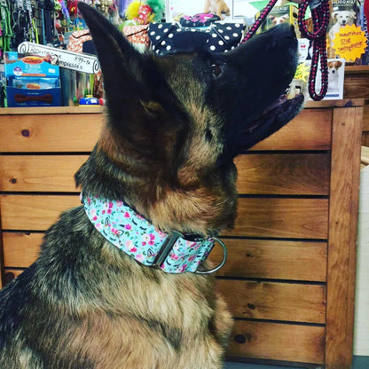 Wiggle Bumz 🍁 Boho Unicorn Martingale