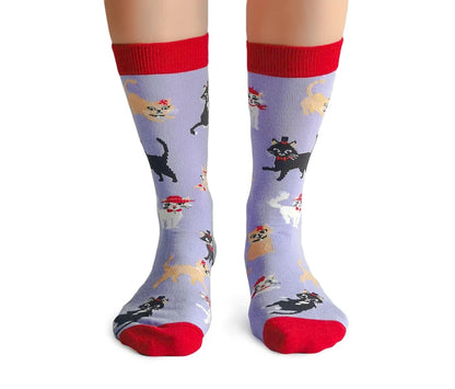 Cats in Hats Socks for Her 🍁Uptown Sox Ltd.