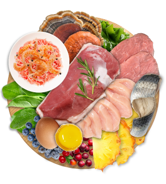 CHARM🍁 Farm-Raised Duck for Dogs & Puppies