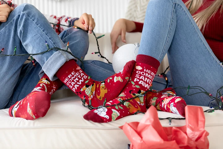 Santa Paws Socks - For Him 🍁 Uptown Sox