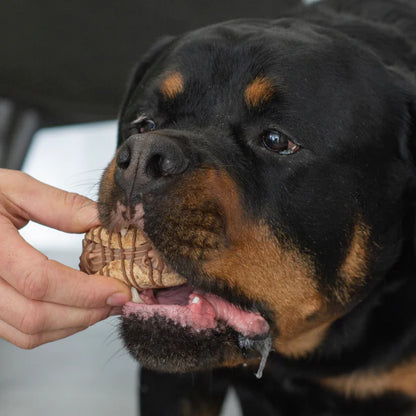 Bosco & Roxy's 🍁Holy Canine-noli! Cafe Cookie