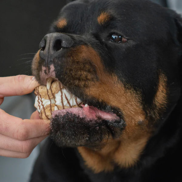 Bosco & Roxy's 🍁Holy Canine-noli! Cafe Cookie