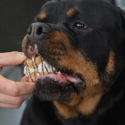 Bosco & Roxy's 🍁Holy Canine-noli! Cafe Cookie