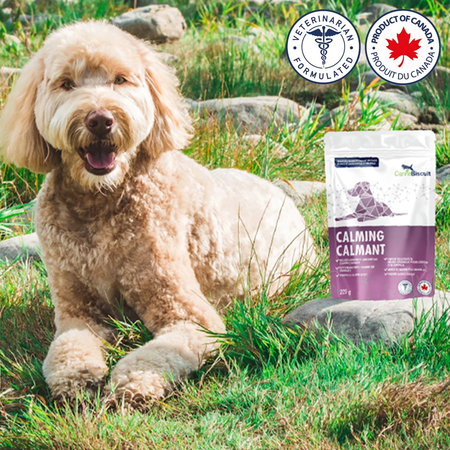 CannaBiscuit 🍁 Calming with L-Theanine & Vitamin B12 for Dogs 224g