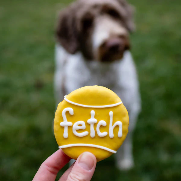 Bosco & Roxy's🍁Epic Fetch Ball | Canine Classics