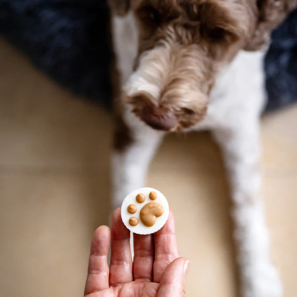 Bosco & Roxy's🍁Peanut Butter Flavoured Treat Cups | Canine Classics
