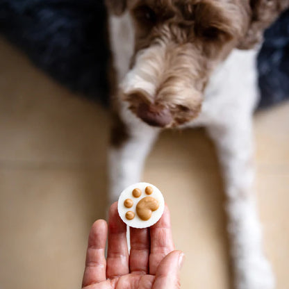 Bosco & Roxy's🍁Peanut Butter Flavoured Treat Cups | Canine Classics