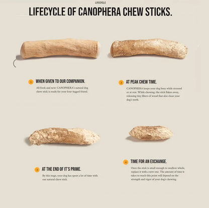 Canophera Natural Coffee Wood Dog Chew
