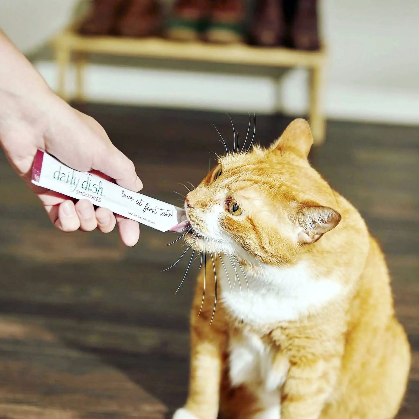 Caru Chicken Lickable Treats for Cats