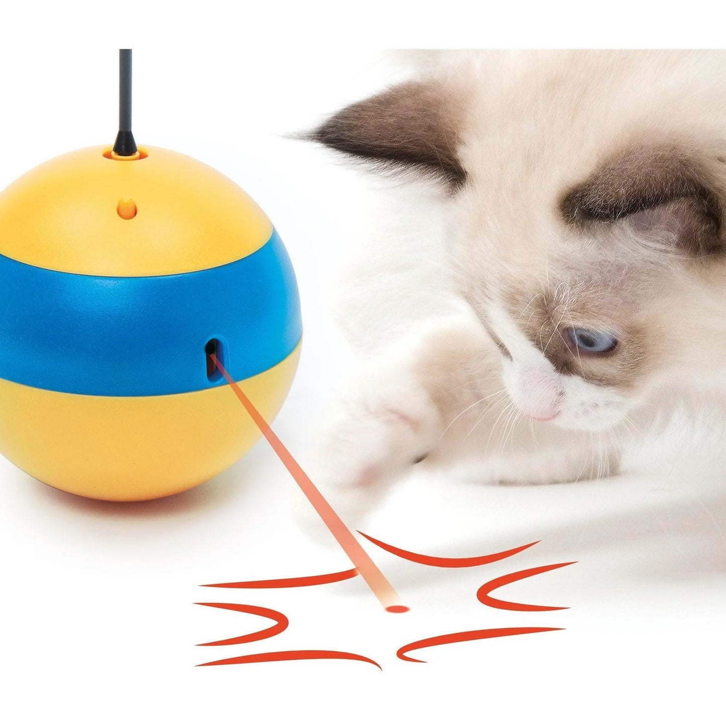 Catit 🍁Play Spinning Bee