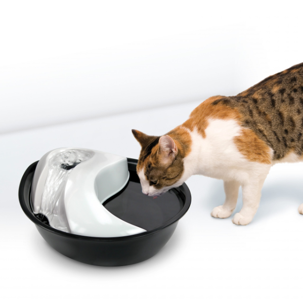 Pioneer Pet Raindrop Style Water Fountain - plastic
