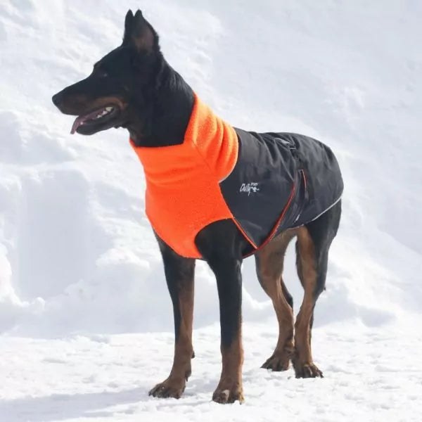 Chilly Dogs🍁 Blaze Orange Standard Great White North
