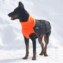 Chilly Dogs🍁 Blaze Orange Standard Great White North