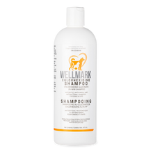 Wellmark 🍁Chlorhexidine Shampoo 473ml