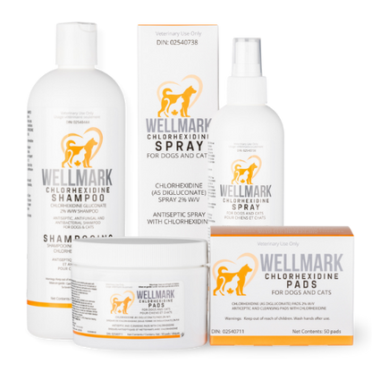 Wellmark 🍁Chlorhexidine Shampoo 473ml