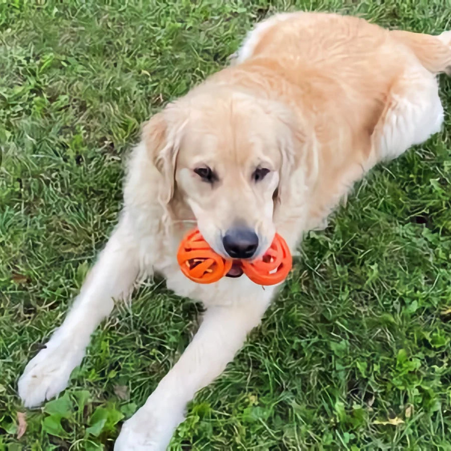 Chuck It! AIR Fetch Ball