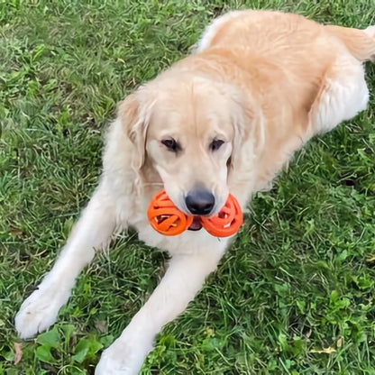 Chuck It! AIR Fetch Ball