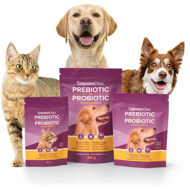 Companions Choice 🍁Pre & Probiotic Supplement