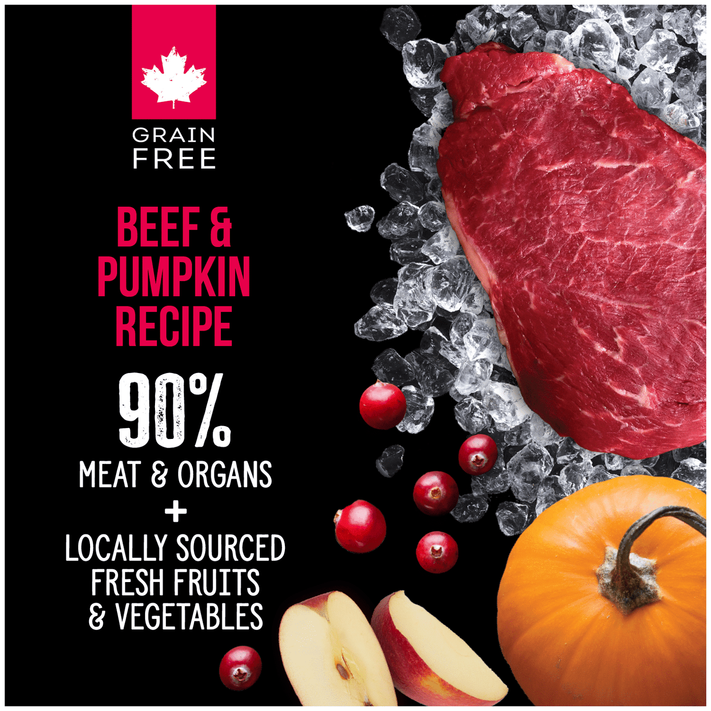 Nutrience SubZero Beef & Pumpkin Freeze Dried Raw Dog Food