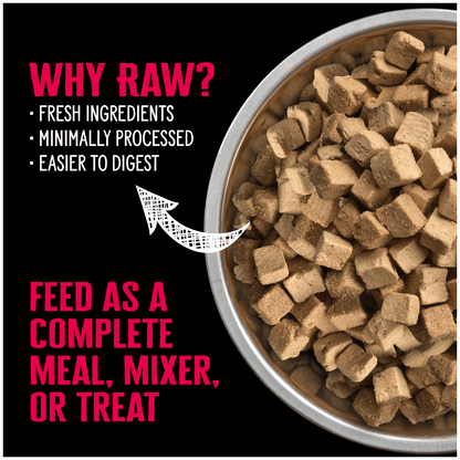 Nutrience SubZero Beef & Pumpkin Freeze Dried Raw Dog Food