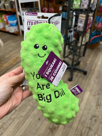 Multipet Plush Pickle with Sayings 8"
