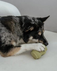 Dexypaws 🍁Jade Green  - Interactive Teething Toy for Powerful Chewers
